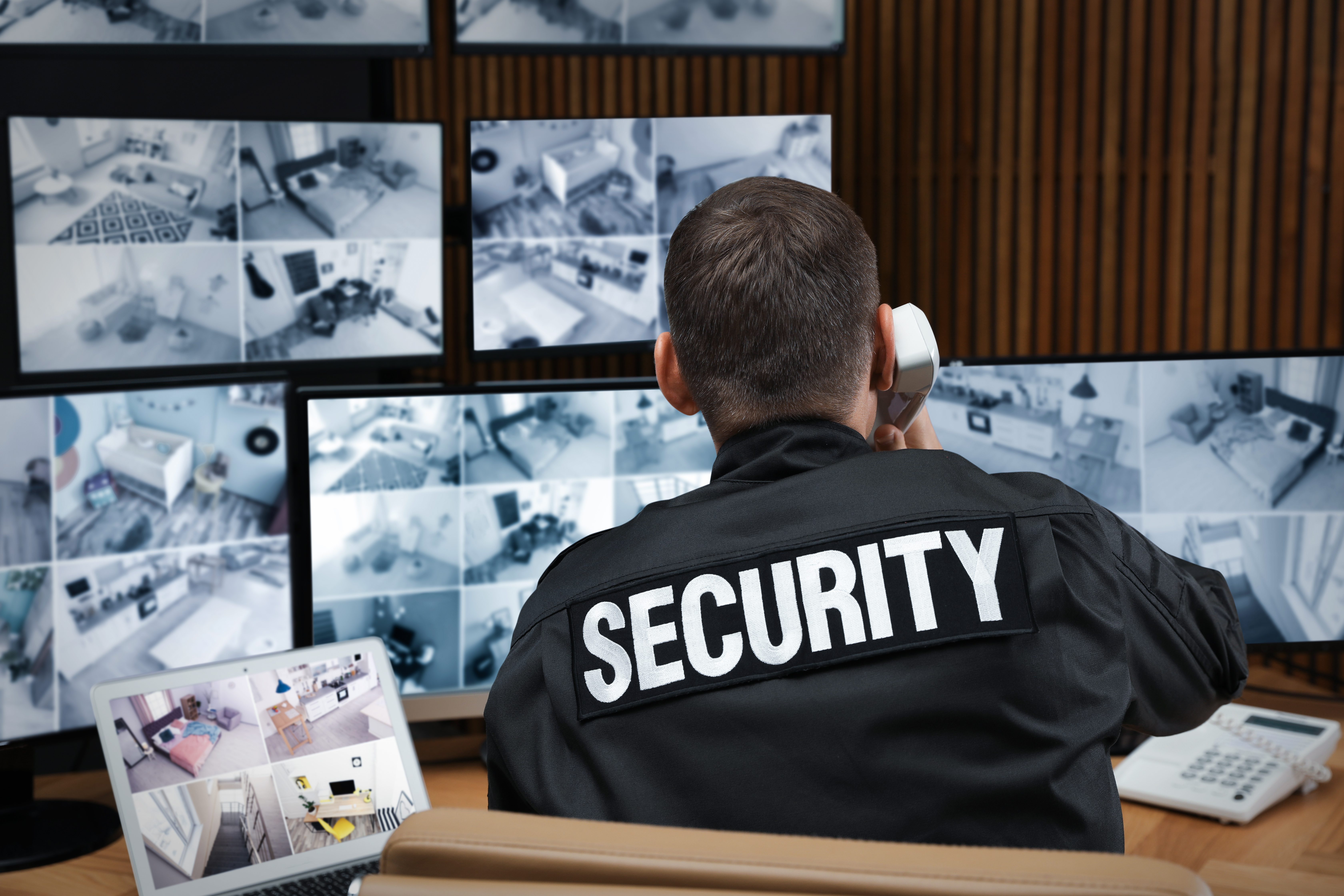 Professional security team